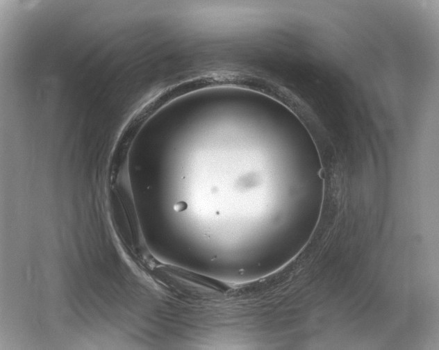 X0000064720730200602131223