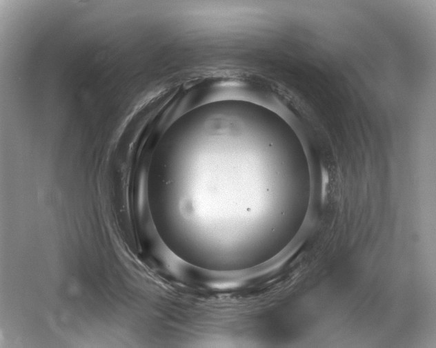 X0000064720731200602131223