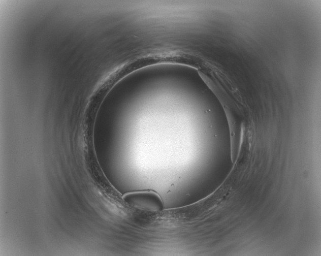 X0000064720732200602131224