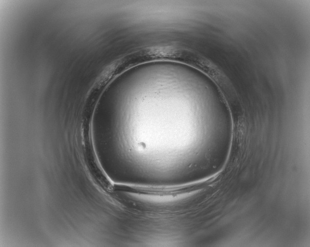 X0000064720734200602131224