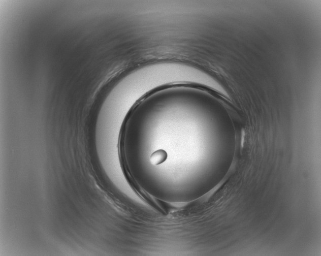 X0000064720735200602131224