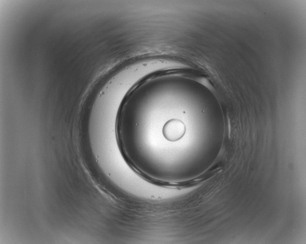 X0000064720736200602131224