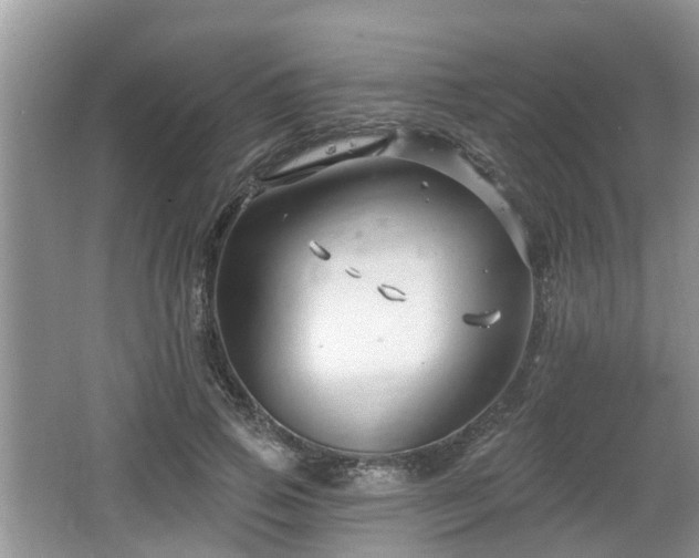 X0000064720741200602131224