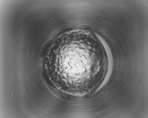 X0000064720742200602131224