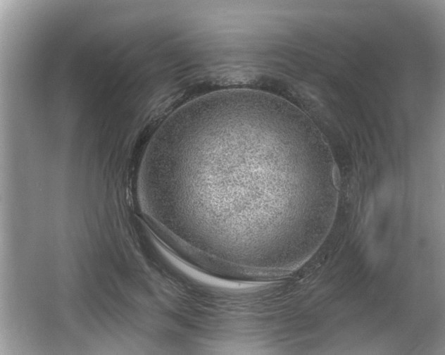 X0000064720743200602131224