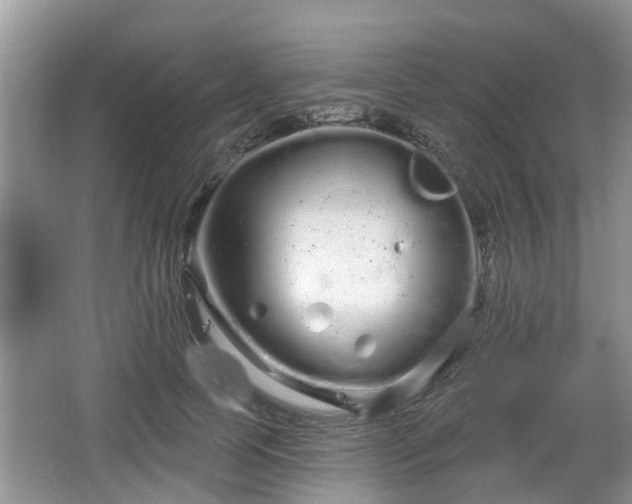 X0000064720745200602131224