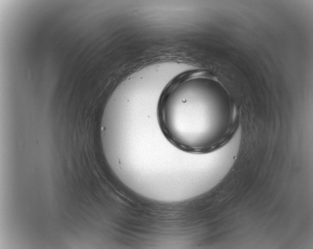 X0000064720752200602131224