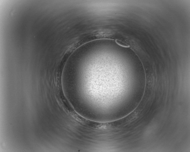 X0000064720755200602131224