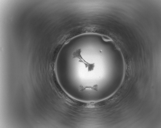 X0000064720759200602131224