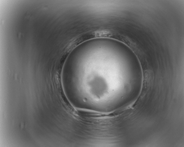 X0000064720761200602131224