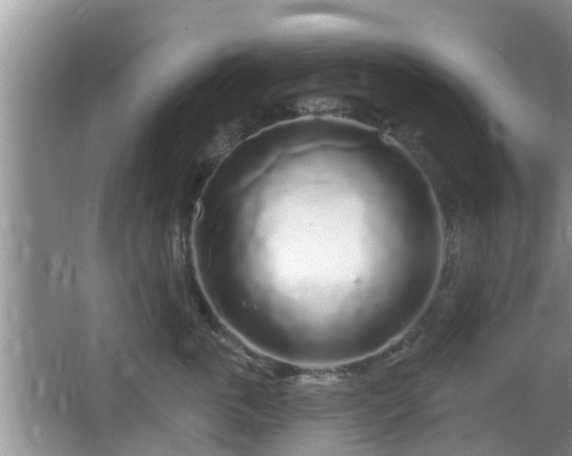 X0000064720763200602131224