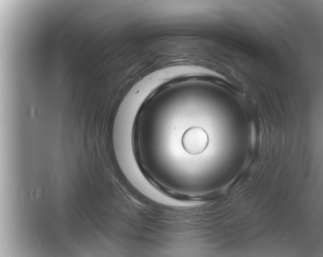 X0000064720764200602131224