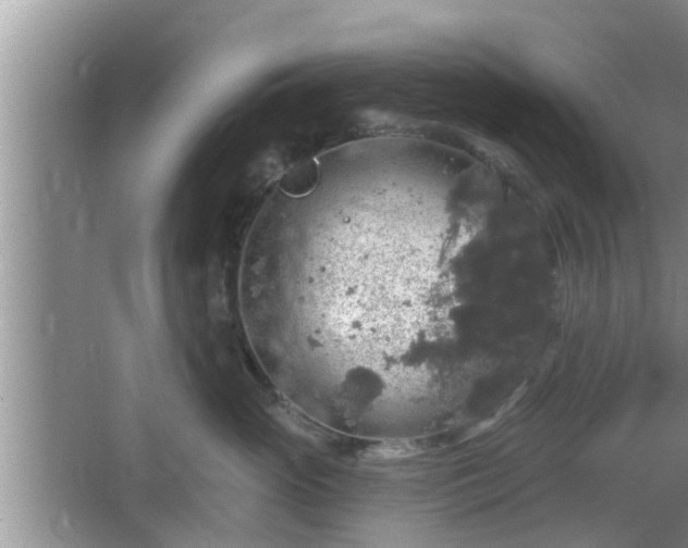 X0000064720765200602131224