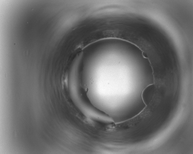 X0000064720766200602131224