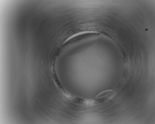 X0000064720767200602131224