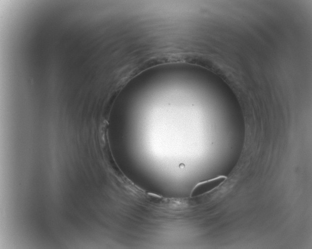 X0000064720768200602131224