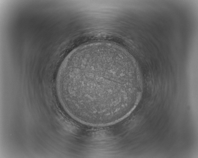 X0000064720769200602131223