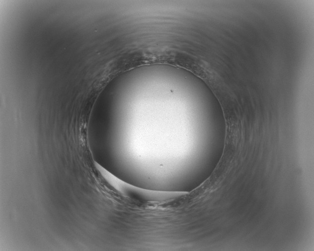 X0000064720770200602131223