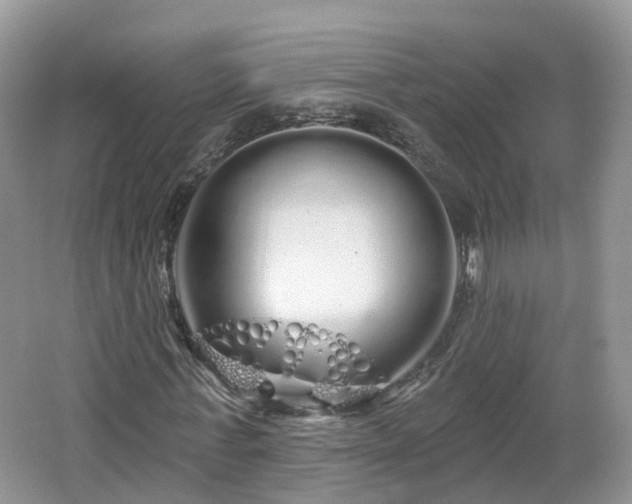 X0000064720771200602131223