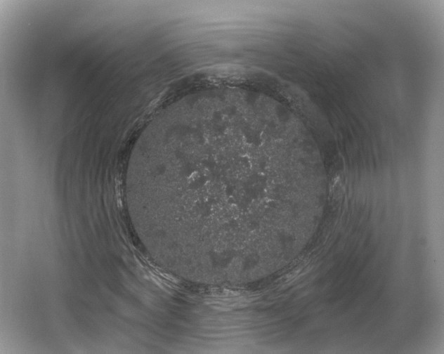 X0000064720772200602131223