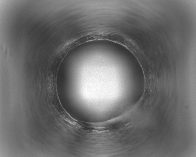 X0000064720773200602131223