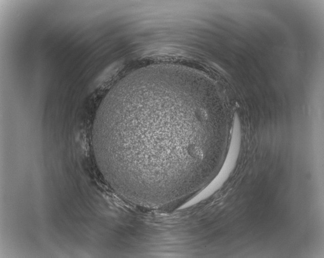 X0000064720774200602131223