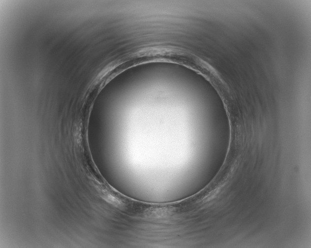 X0000064720778200602131223