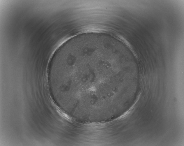 X0000064720779200602131223