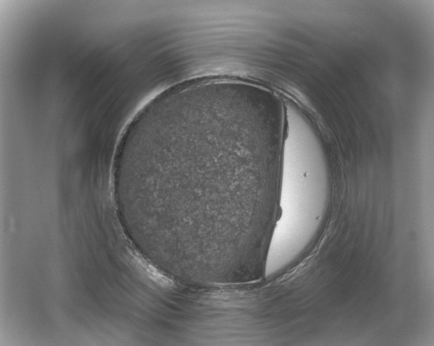 X0000064720780200602131223