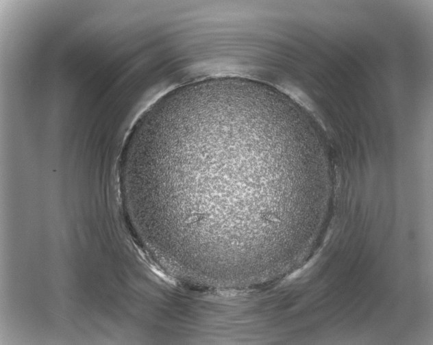 X0000064720782200602131223