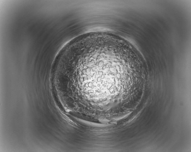 X0000064720783200602131223