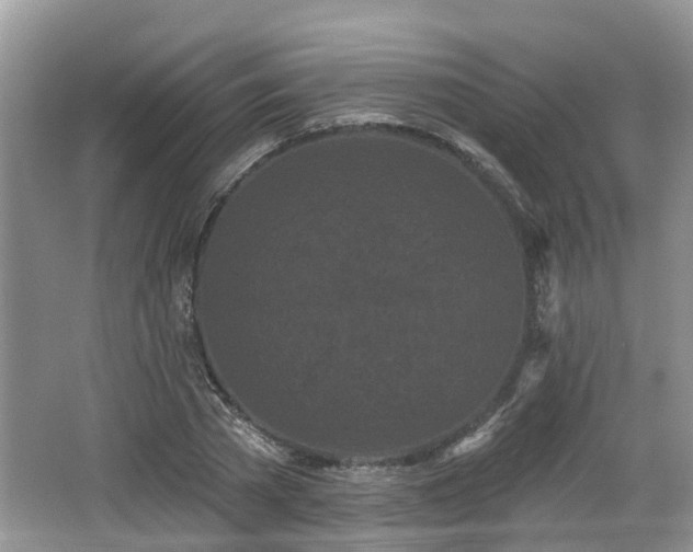 X0000064720785200602131223