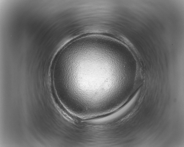 X0000064720787200602131223