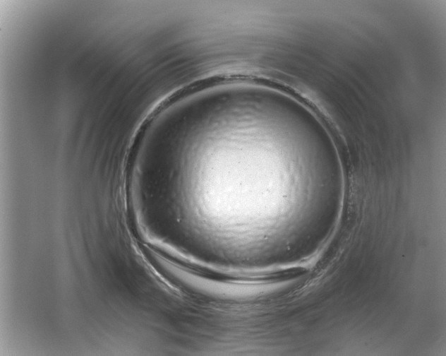 X0000064720791200602131223