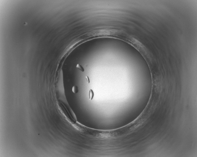 X0000064720794200602131223