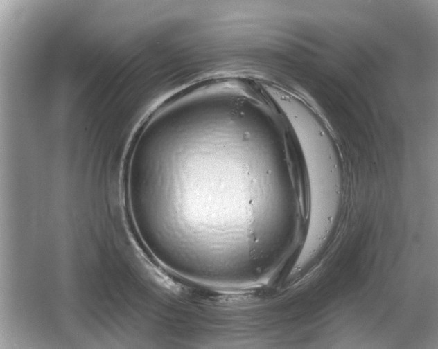 X0000064720795200602131223