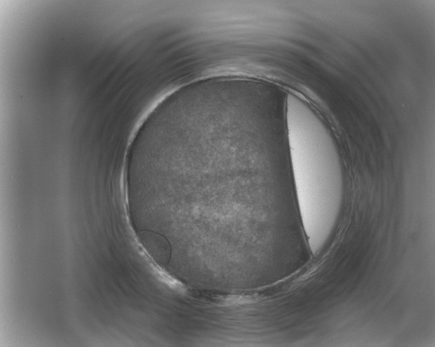 X0000064720796200602131223