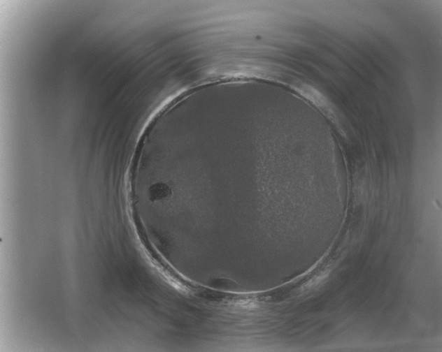 X0000064720798200602131223