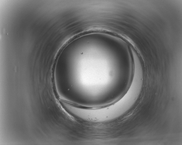 X0000064720799200602131223