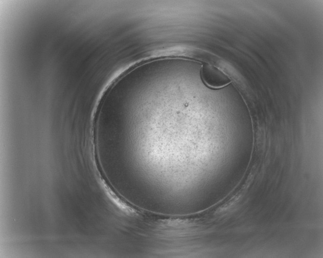 X0000064720800200602131223