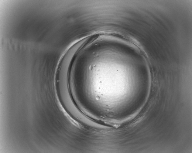 X0000064720803200602131223