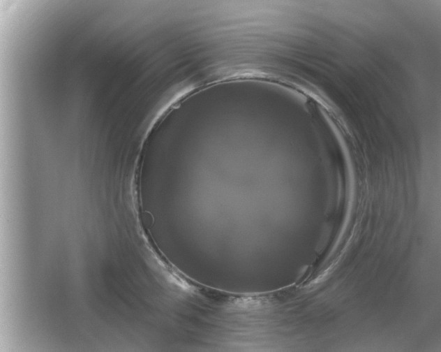 X0000064720806200602131223