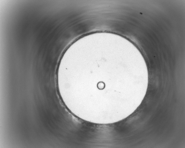 X0000064720807200602131223