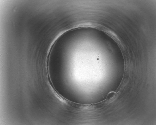 X0000064720808200602131223