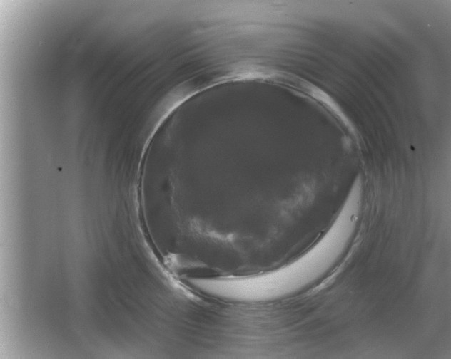 X0000064720810200602131223