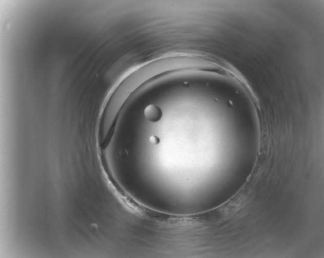 X0000064720811200602131223