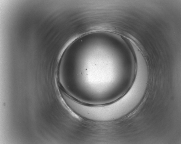 X0000064720812200602131223