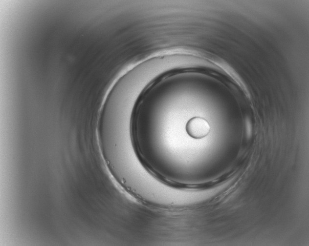 X0000064720813200602131223