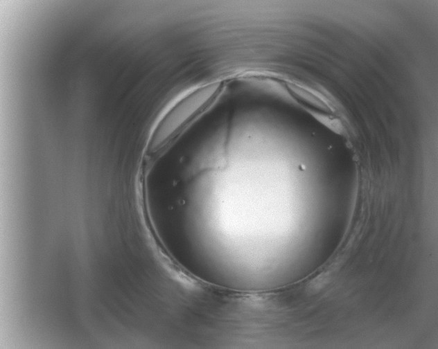 X0000064720814200602131223