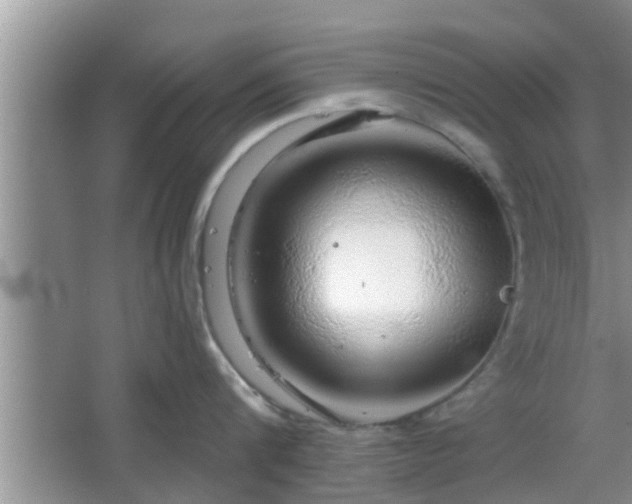 X0000064720816200602131223